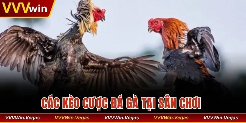 Các kèo cược đa dạng tại sân chơi